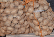 Deda je to uvijek bacao u kesu sa krompirom i izdržali su do sljedeće berbe: Ni jedan nije proklijao! (Foto)