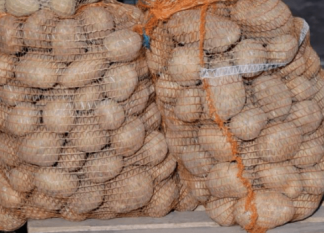 Deda je to uvijek bacao u kesu sa krompirom i izdržali su do sljedeće berbe: Ni jedan nije proklijao! (Foto)