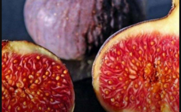 5 razloga zašto smokve treba jesti svaki dan