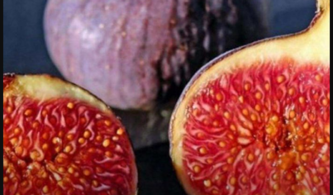 5 razloga zašto smokve treba jesti svaki dan