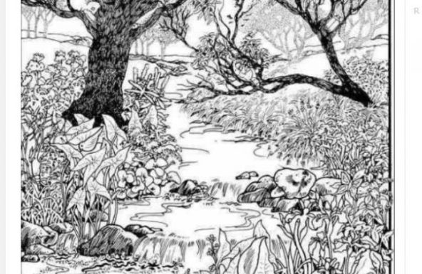 Mnogi su probali, ali nisu uspeli: Svako ko pronađe ženu na fotografiji ima natprosečnu inteligenciju