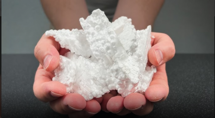 NIKADA ne bacajte ostatke stiropora! Vrijedi zlata!