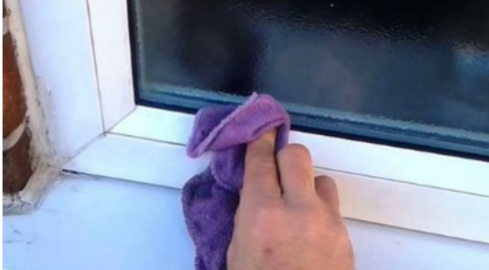 SAMO ISKUSNE DOMAĆICE ZNAJU DA SE PVC VRATA ČISTE UZ POMOĆ OVE VOĆKE: Oribaće svu MASNOĆU i FLEKE za tren oka