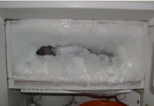 Ako vam se u frižideru gomila led, ubacite samo jednu namirnicu i problem će biti riješen