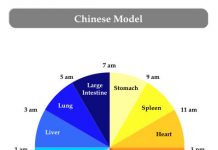 Kineski biološki sat ne griješi: Ovako otkrijte sami koji organ vam ne radi dobro!