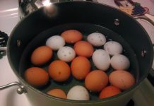 NIKADA NE PROSIPAJTE VODU U KOJOJ SU SE KUHALA JAJA! Pravo Je Blago, A Kada Vidite Zašto Koristićete Je Dok Ste Živi