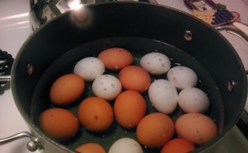 NIKADA NE PROSIPAJTE VODU U KOJOJ SU SE KUHALA JAJA! Pravo Je Blago, A Kada Vidite Zašto Koristićete Je Dok Ste Živi