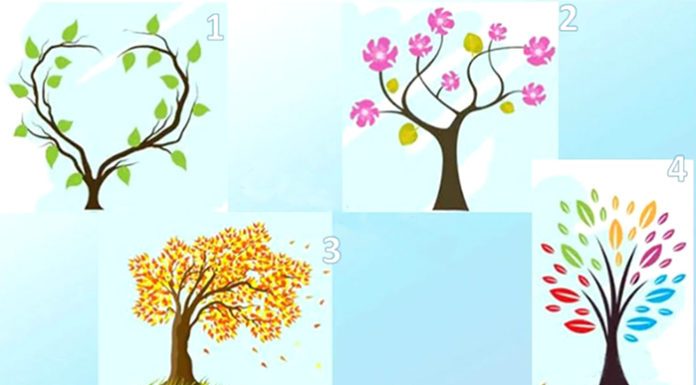 Test: Koje emocije prevladavaju u vašem životu?