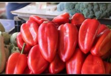 U svježim paprikama otkrivena TOKSIČNA HEMIKALIJA! Izuzetno je opasna za ljude, evo gdje se prodaje