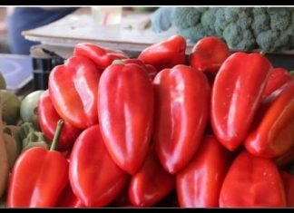 U svježim paprikama otkrivena TOKSIČNA HEMIKALIJA! Izuzetno je opasna za ljude, evo gdje se prodaje