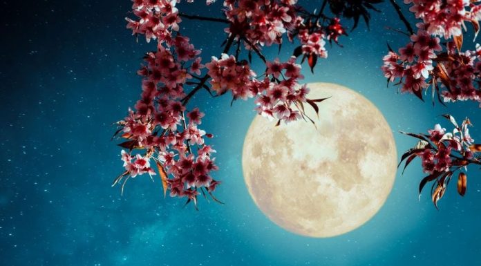 Sutra je pun Mjesec u Ovnu, najviše će uticati na ova 3 znaka: Neka se paze, sve može krenuti po zlu