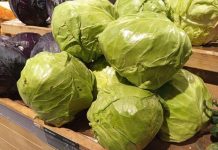 Trik za kiseli kupus: Brže se ukiseli, ne buđa i ima puniji ukus, sve zbog jednog neočekivanog sastojka