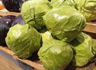 Trik za kiseli kupus: Brže se ukiseli, ne buđa i ima puniji ukus, sve zbog jednog neočekivanog sastojka