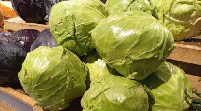 Trik za kiseli kupus: Brže se ukiseli, ne buđa i ima puniji ukus, sve zbog jednog neočekivanog sastojka