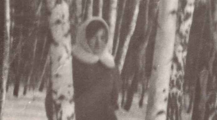 Ana sa 12 drvoseča otišla u šumu da im pere i kuva dok su na zadatku: Ostavili je da umre od gladi i zime kad ih je poterao maler, usledio nezamisliv obrt