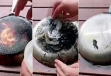 Izgrebana tava može ponovno izgledati kao nova sa samo jednim uobičajenim kuhinjskim predmetom koji svi posjeduju.