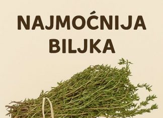 RECEPT ZA PRIRODNO LJEKOVITO ULJE: Prirodni saveznik protiv infekcija