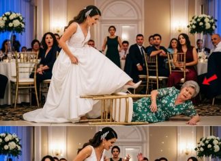 Mislila je da može da izbaci svekrvu sa svadbe — ali starica je imala poslednju reč pred 200 gostiju