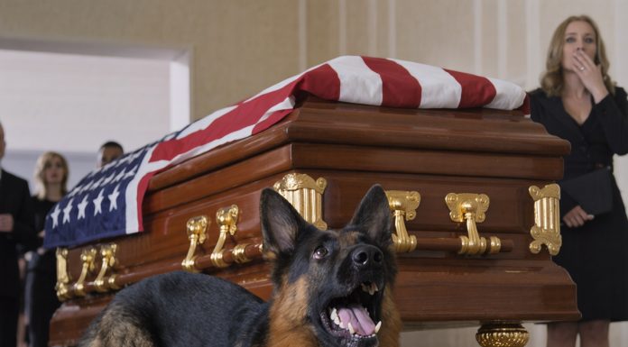 Pas nije prestajao da laje – a ono što su pronašli unutra ih je iznenadilo sve