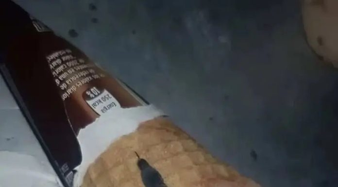 Moja ćerka je otvorila sladoled i unutra je našla nešto čudno — nismo odmah shvatili šta je to bilo.