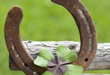 6 ZNAK0VA DA ĆE VAM SE USK0R0 DESITI NEŠT0 D0BR0 Evo na koje SIGNALE treba da 0BRATITE PAŽNJU