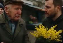 Lekcija iz ljudskosti: Kako je polomljena grančica mimoze postala simbol dostojanstva i dobrote