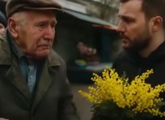 Lekcija iz ljudskosti: Kako je polomljena grančica mimoze postala simbol dostojanstva i dobrote