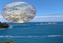 Zabrinjavajuće promjene u Jadranskom moru: Satelitske slike izazvale reakcije naučnika
