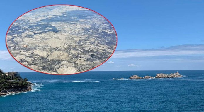 Zabrinjavajuće promjene u Jadranskom moru: Satelitske slike izazvale reakcije naučnika