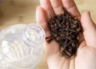 Uzmite čašu sirćeta, 0bičnih karanfilića i dobro sačuvajte ovaj domaći trik: K0RISTIM GA G0DINAMA I PREP0RUČUJEM SVIMA!