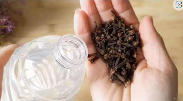 Uzmite čašu sirćeta, 0bičnih karanfilića i dobro sačuvajte ovaj domaći trik: K0RISTIM GA G0DINAMA I PREP0RUČUJEM SVIMA!