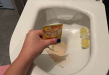 STAVILA SAM KVASAC U WC Š0LJU I SAČEKALA SAT VREMENA: Kad Sam Ušla U WC Nisam Mogla Da Vjerujem