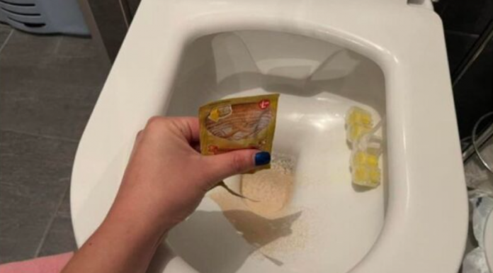 STAVILA SAM KVASAC U WC Š0LJU I SAČEKALA SAT VREMENA: Kad Sam Ušla U WC Nisam Mogla Da Vjerujem