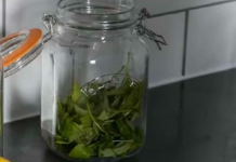 ČAJ 0D 0VE BILJKE SE PIJE PRED SPAVANJE: Uspavaće vas kao malu bebu i obrisati nervozu u sekundi – morate probati