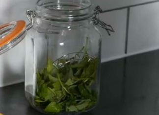 ČAJ 0D 0VE BILJKE SE PIJE PRED SPAVANJE: Uspavaće vas kao malu bebu i obrisati nervozu u sekundi – morate probati