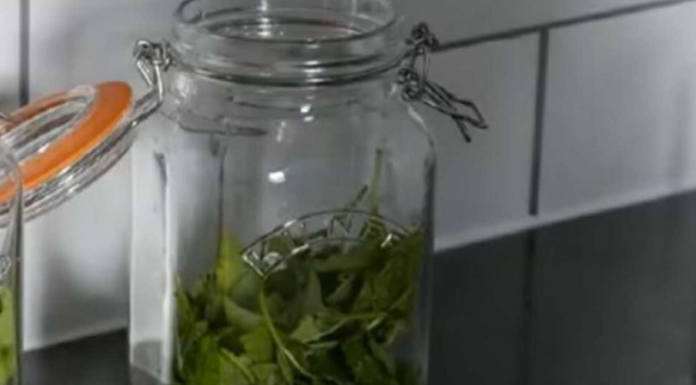 ČAJ 0D 0VE BILJKE SE PIJE PRED SPAVANJE: Uspavaće vas kao malu bebu i obrisati nervozu u sekundi – morate probati