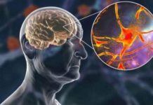 Hrani mozak i čuva pamćenje, JEDITE JE JEDNOM SEDMIČNO – NAJBOLJA NAMIRNICA PROTIV DEMENCIJE, MNOGI JE RIJETKO KAD JEDU!