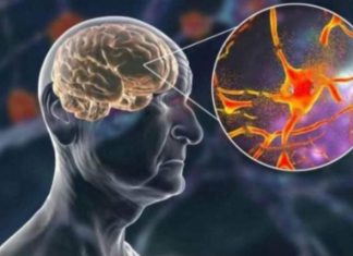 Hrani mozak i čuva pamćenje, JEDITE JE JEDNOM SEDMIČNO – NAJBOLJA NAMIRNICA PROTIV DEMENCIJE, MNOGI JE RIJETKO KAD JEDU!