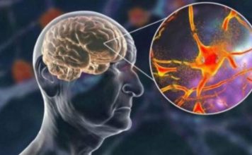 Hrani mozak i čuva pamćenje, JEDITE JE JEDNOM SEDMIČNO – NAJBOLJA NAMIRNICA PROTIV DEMENCIJE, MNOGI JE RIJETKO KAD JEDU!