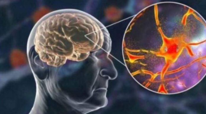 Hrani mozak i čuva pamćenje, JEDITE JE JEDNOM SEDMIČNO – NAJBOLJA NAMIRNICA PROTIV DEMENCIJE, MNOGI JE RIJETKO KAD JEDU!