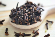 STAVILA JE KARANFILIĆ NA VRATA U KUĆI: PREKO NOĆI SE RIJEŠILA PROBLEMA KOJI JE PRISUTAN KOD MNOGIH!