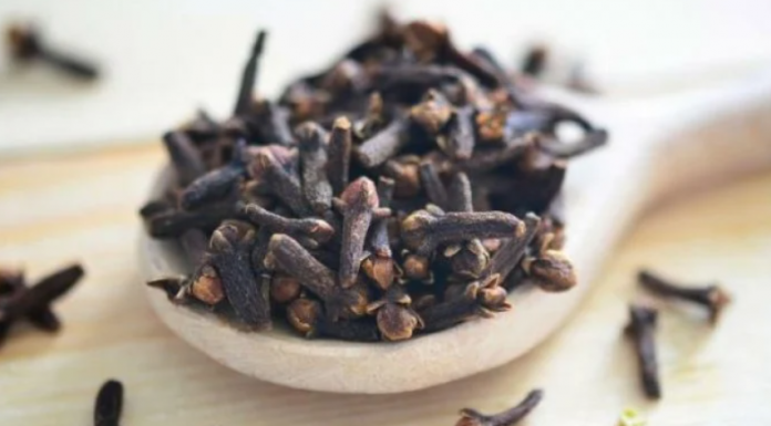 STAVILA JE KARANFILIĆ NA VRATA U KUĆI: PREKO NOĆI SE RIJEŠILA PROBLEMA KOJI JE PRISUTAN KOD MNOGIH!