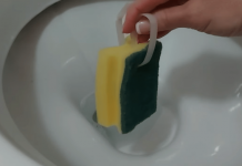 Umrla bih, A NE BI ZNALA: Uradim ovo i toalet miriše 100 dana!