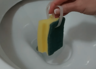 Umrla bih, A NE BI ZNALA: Uradim ovo i toalet miriše 100 dana!