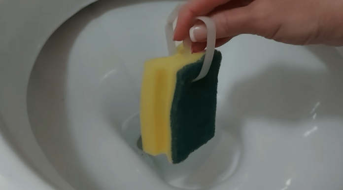 Umrla bih, A NE BI ZNALA: Uradim ovo i toalet miriše 100 dana!