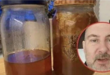 Pčelar pokazao gdje u kući treba čuvati med: VEĆINA LJUDI TO RADI POGREŠNO!