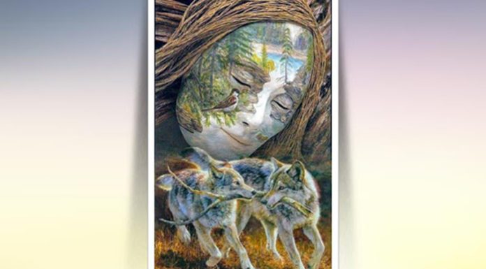 TEST: ONO što ste prvo vidjeli na slici otkriva što vas čeka ovaj mjesec!