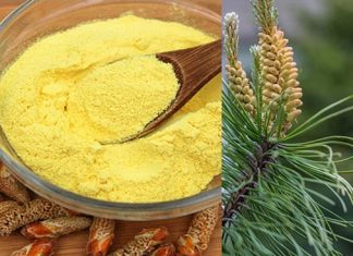 PO KAŠIČICU DNEVNO TREBA DA POJEDE SVAKA ŽENA: MAGIČNI PRAH LEČI KOSTI I UPALE, REGULIŠE HORMONE