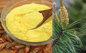 PO KAŠIČICU DNEVNO TREBA DA POJEDE SVAKA ŽENA: MAGIČNI PRAH LEČI KOSTI I UPALE, REGULIŠE HORMONE