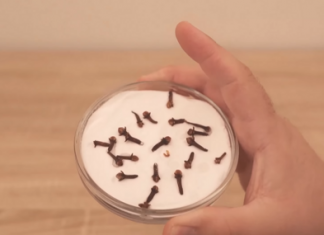 SVI ME PITAJU ZAŠTO U MOJOJ KUĆI TAKO LIJEPO MIRIŠE: Ovo je trik koji koristim, samo 2 sastojka – A KUĆA MIRIŠE DANIMA